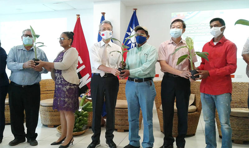 proyecto-platano-inta-taiwan